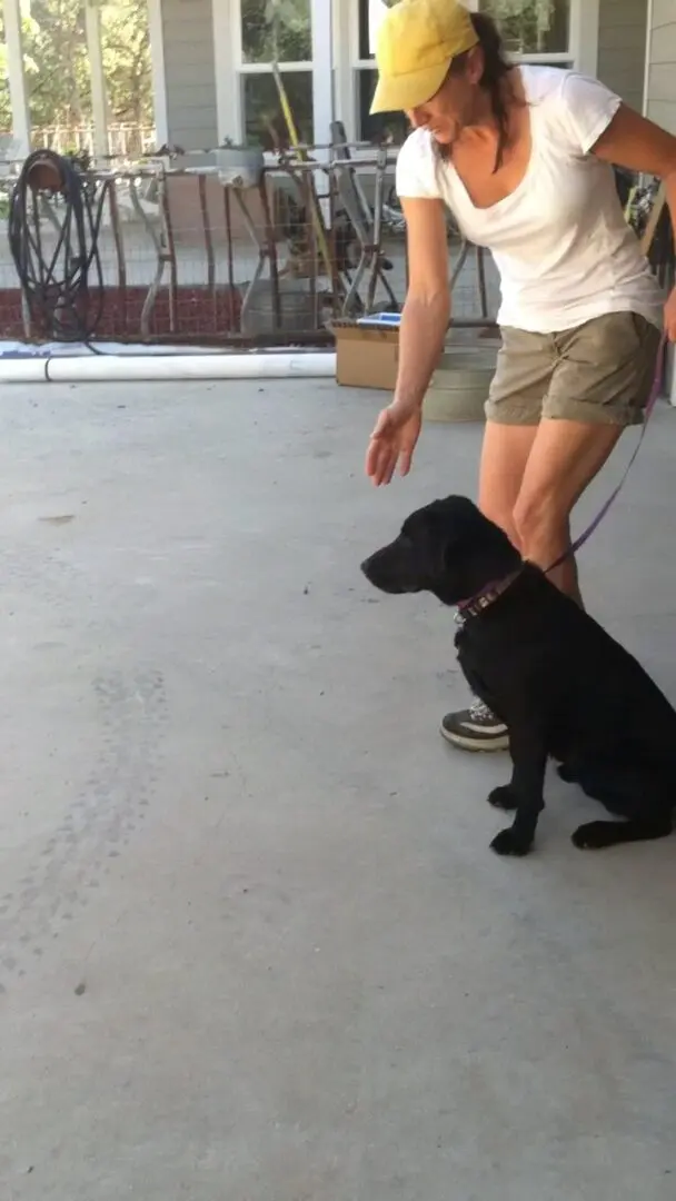 A man walking his dog on a leash.