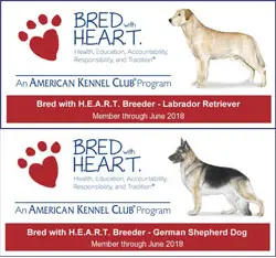 Two breed of heart club banners with a dog and german shepherd.