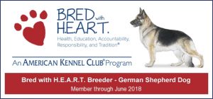 A german shepherd dog is standing in front of the words " bred with heart."