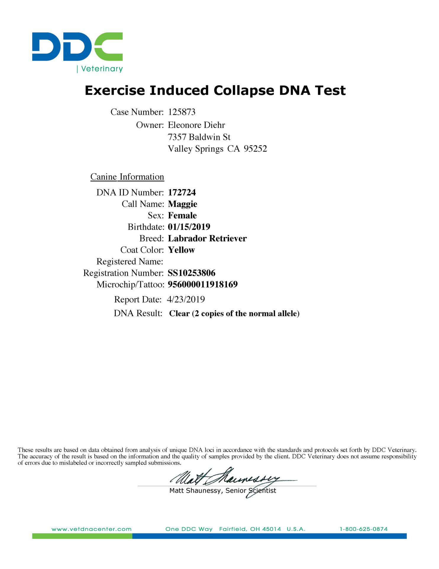 A sheet of paper with instructions for an exercise induced collapse dna test.