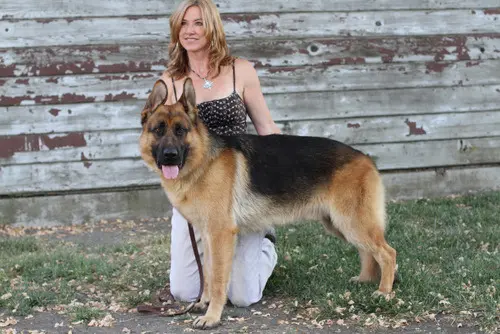 A woman kneeling down next to a dog.