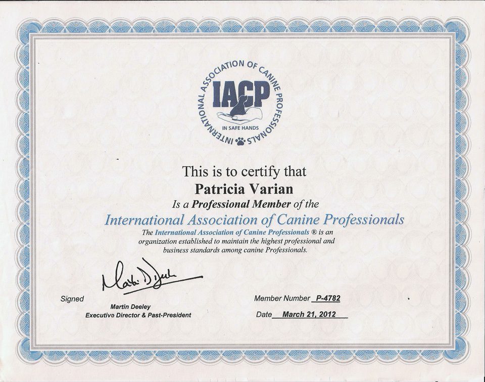 A certificate of recognition for patricia varian