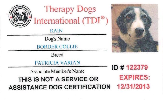 A dog 's id card with a picture of a dog.