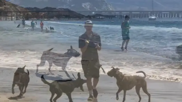 A man walking on the beach with his dogs.