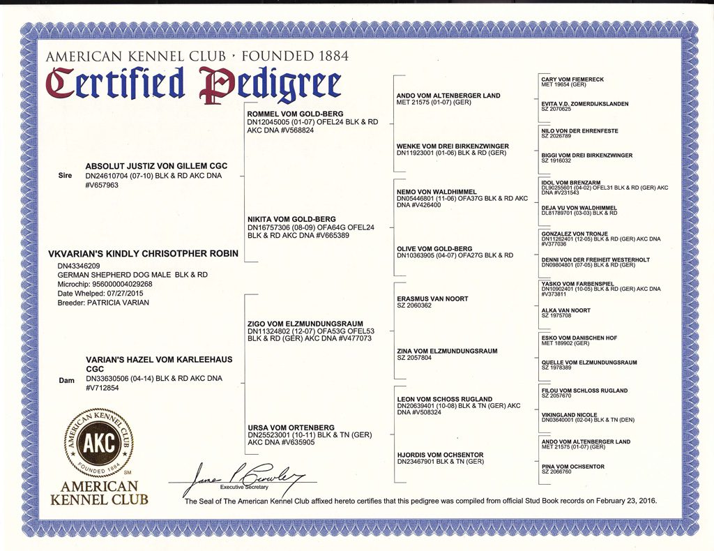 A certificate of pedigree for an adult dog.