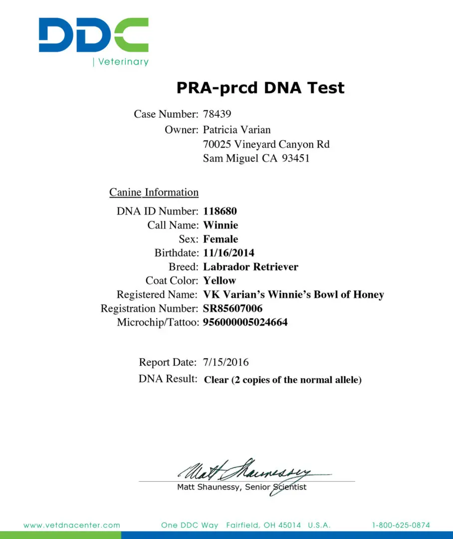 A sample of the dna test for an individual.