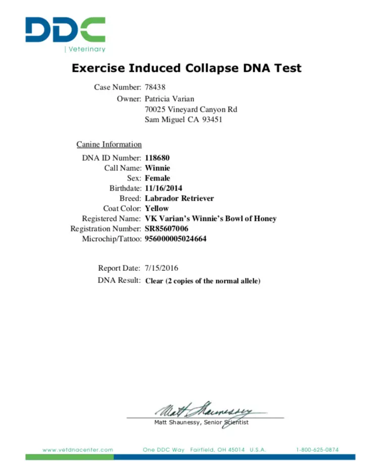 A sheet of paper with the name of the exercise induced collapse dna test.