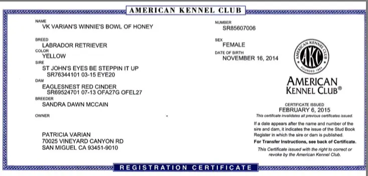 A registration certificate for the american kennel club.
