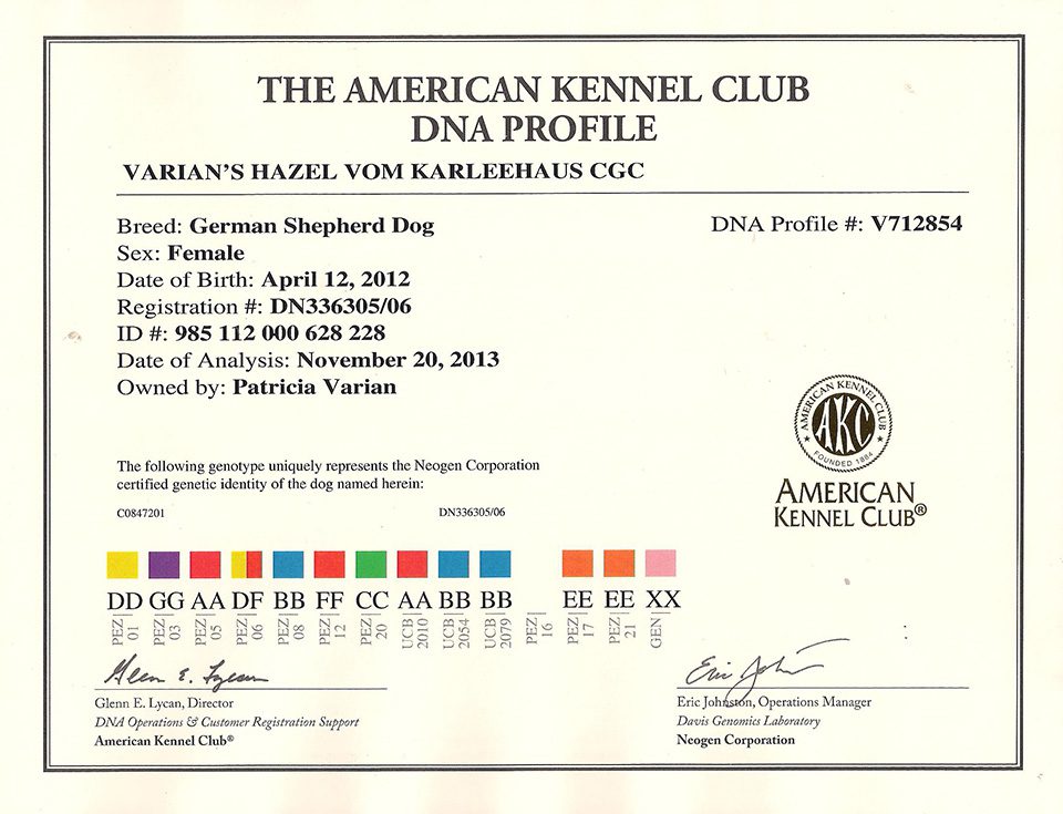 A certificate of authenticity for the american kennel club.