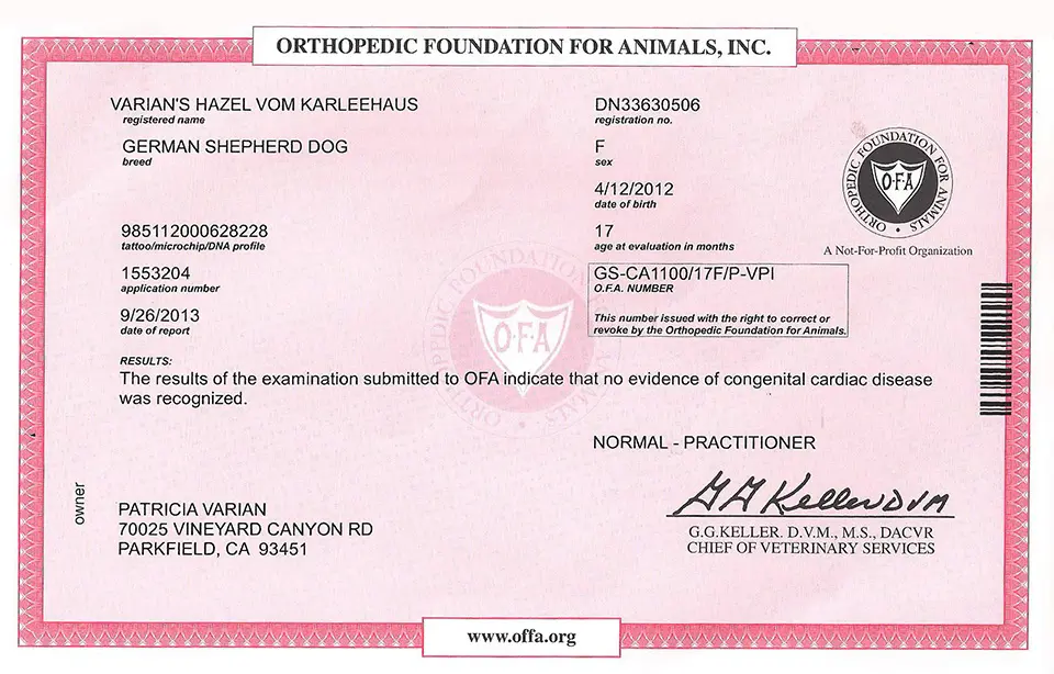 A birth certificate for an animal.