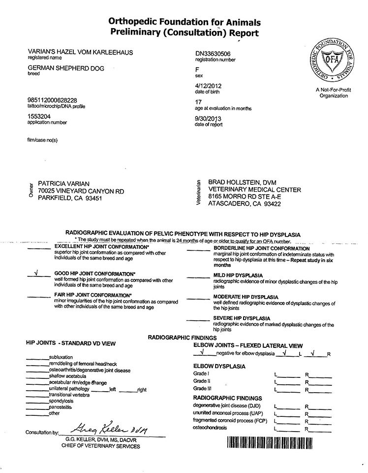 A page of papers with instructions for an application.