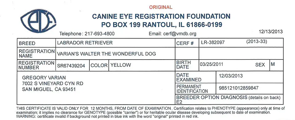 A dog 's birth certificate is shown in this image.