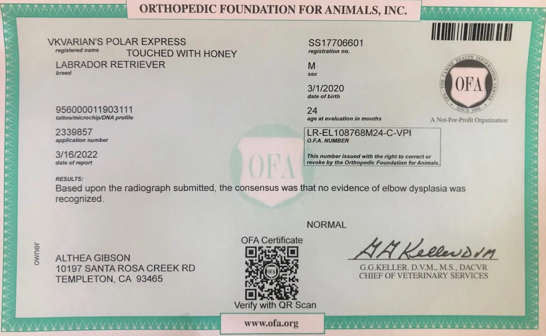 Orthopedic Foundation For Animals DNA Report
