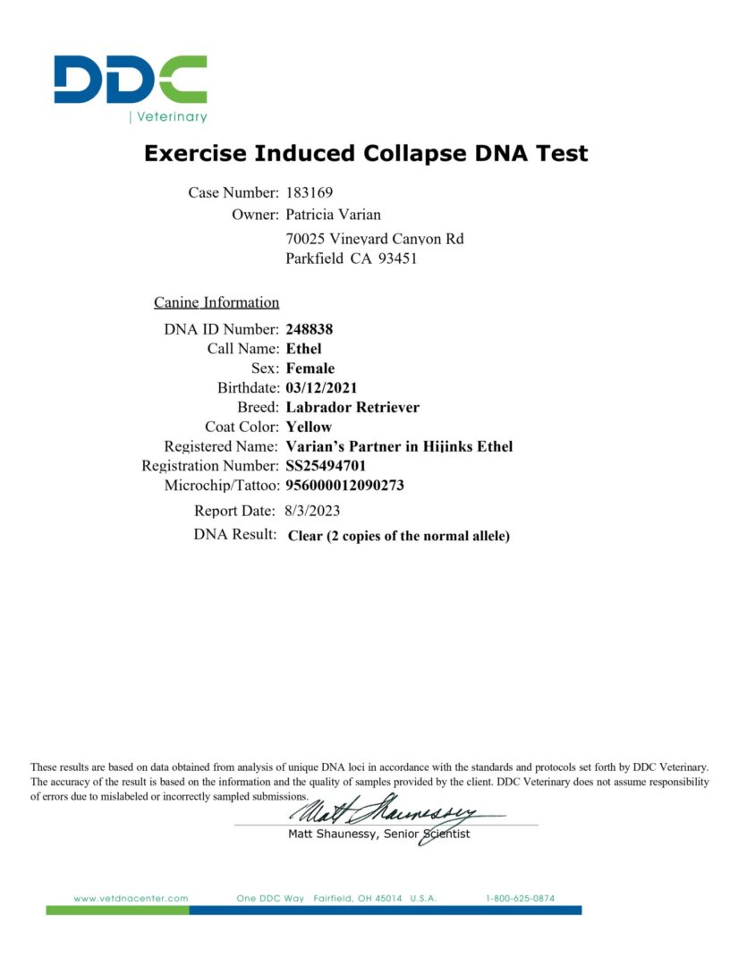 A sheet of paper with the words exercise induced collapse dna test written on it.