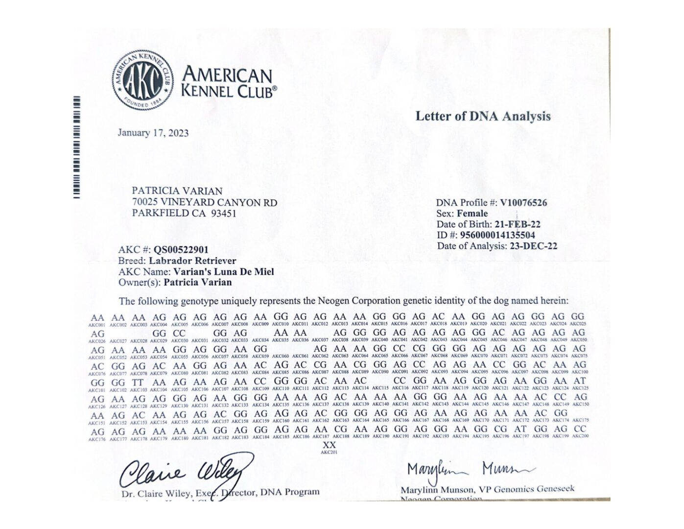 A letter of intent for an american kennel club.