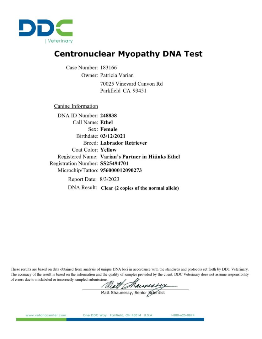 A sample of the contraxiclear myopathy dna test.