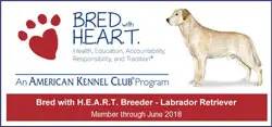 A dog is standing in front of the words " bred with heart ".