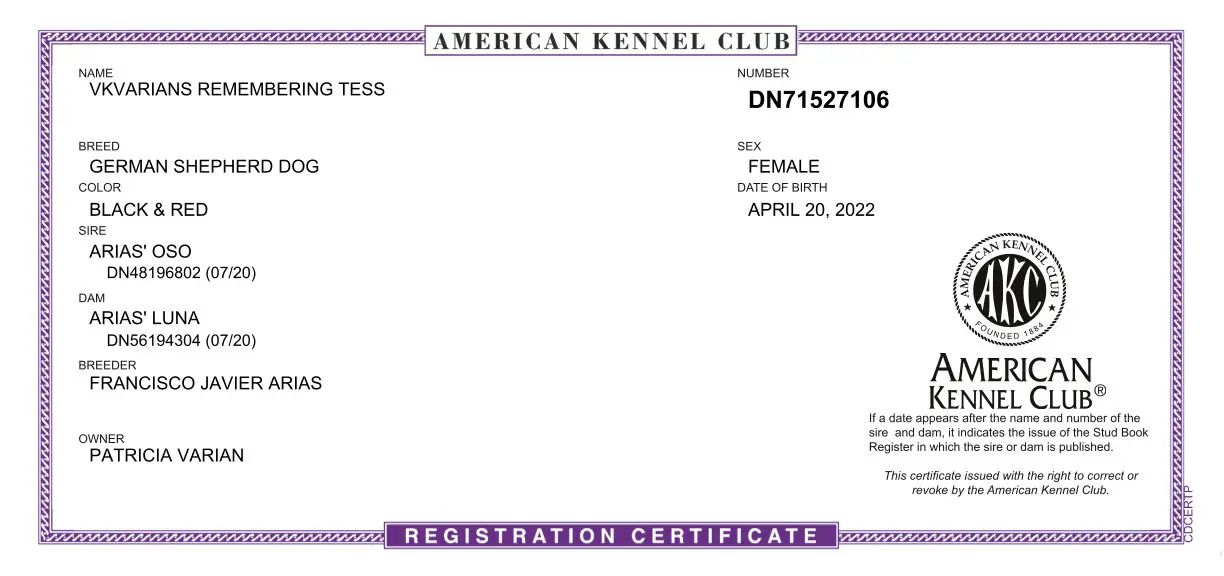 American Kennel Club registration certificate.