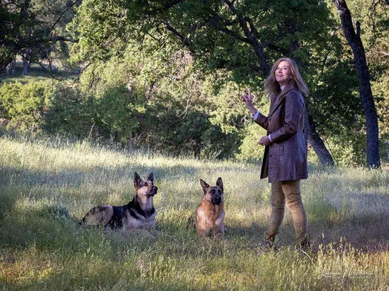 Woman with two German Shepherds in a field.