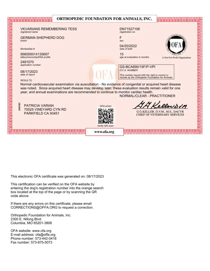 OFA certificate for a German Shepherd dog.