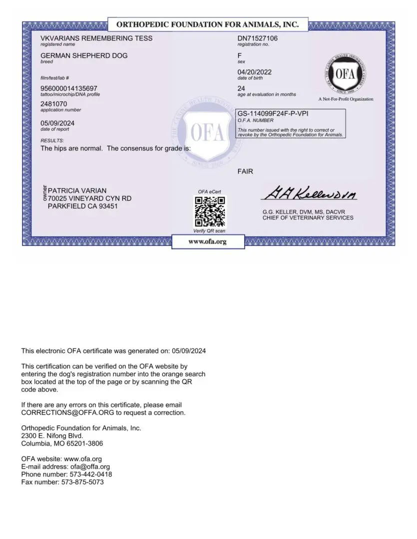 OFa certificate for German Shepherd dog.