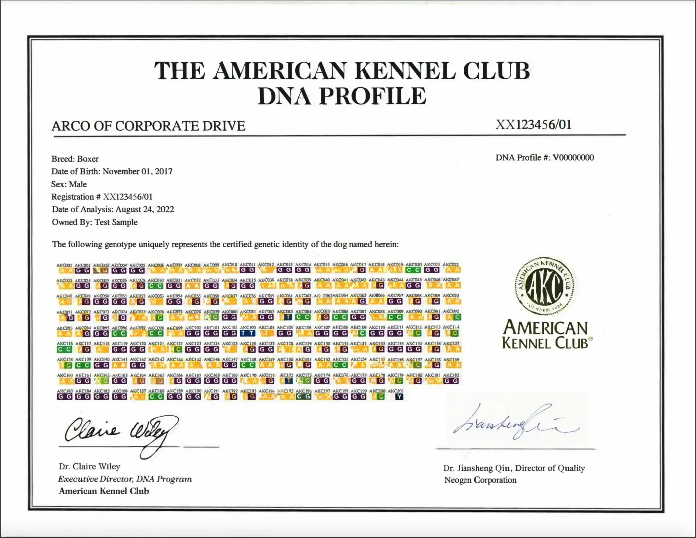 American Kennel Club DNA profile for Boxer.