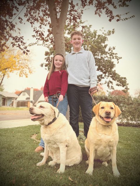 Some of Allie's labrador retriever pups