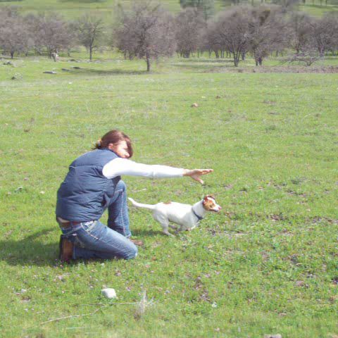 A woman kneeling down in the grass with her dog.